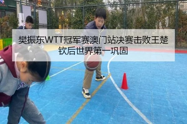 樊振东WTT冠军赛澳门站决赛击败王楚钦后世界第一巩固