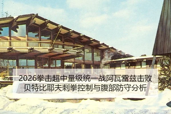 quan-ji-chao-zhong-liang-ji-tong-yi-zhan-a-wa-lei-zi-ji-bai-bei-te-bi-ye-fu-ci-quan-kong-zhi-yu-fu-bu-fang-shou-fen-xi-2-150.jpg